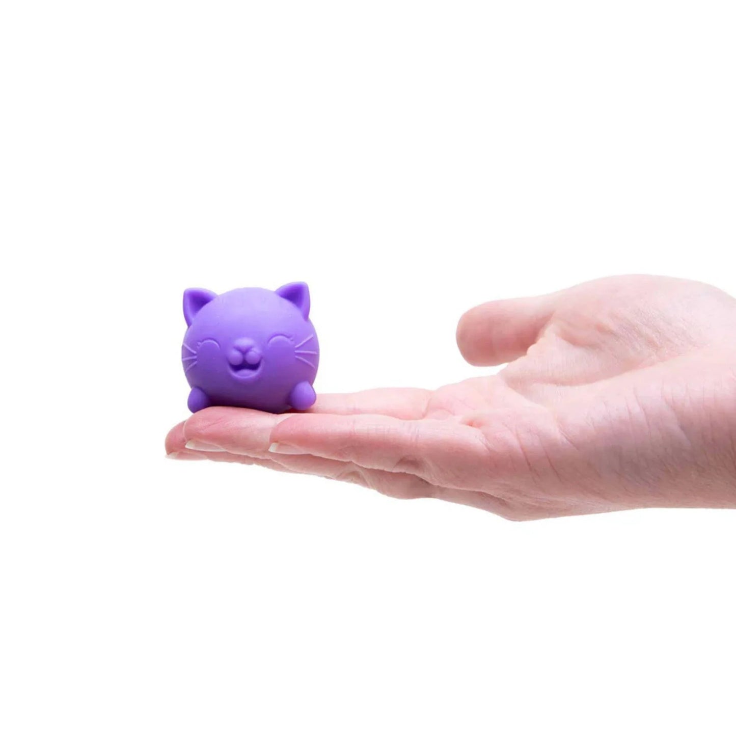 NeeDoh Cool Cats Teenie Multipack Sensory Fidget Toy (x1 Pack Supplied)