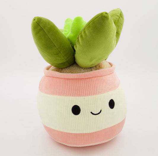 Smoochy Pals Succulent Plant Kawaii Plush Soft Toy