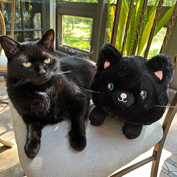 Squishable Mini Black Kitty Plush Soft Toy